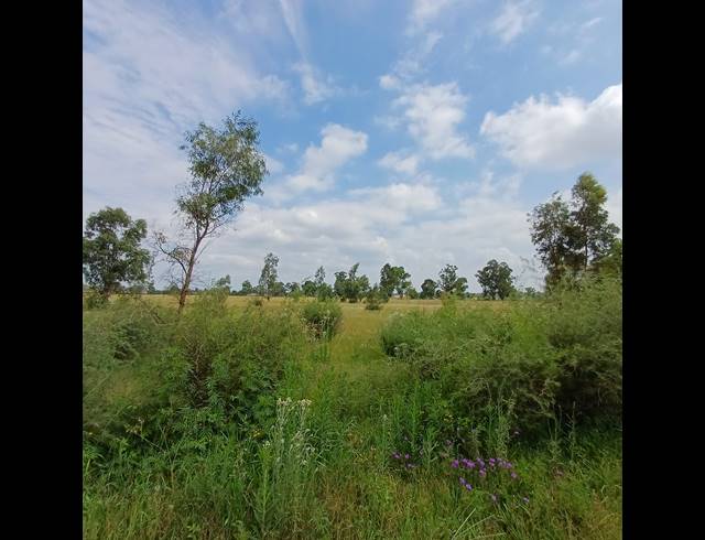 87,023M² VACANT LAND FOR SALE IN OPHIR AH
